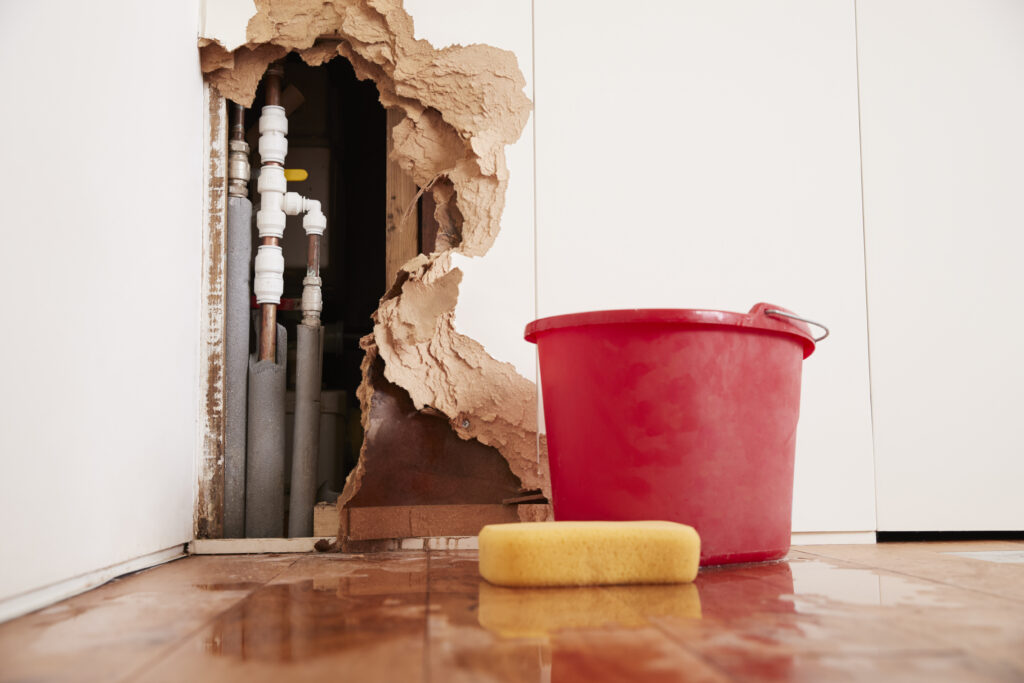 Water Damage in Your Home